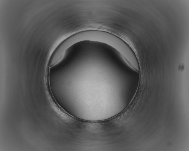 X0000088901136200707061448