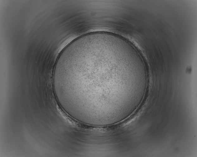 X0000088901137200707061448