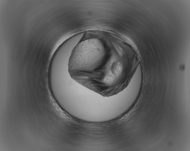 X0000088901138200707061448