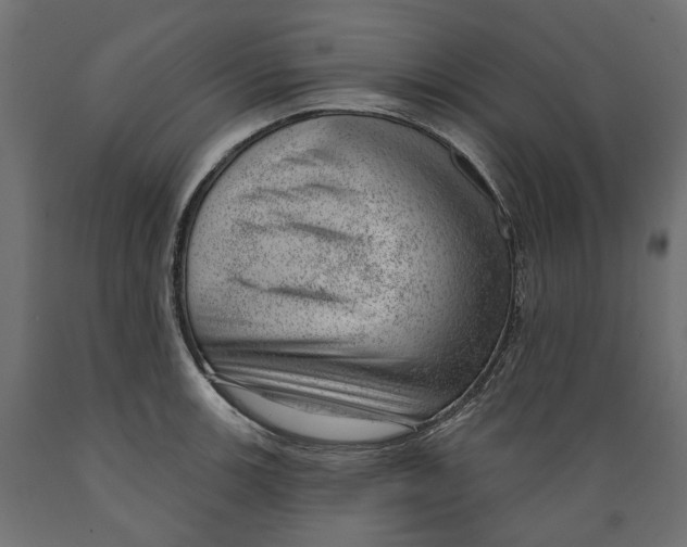 X0000088901139200707061448