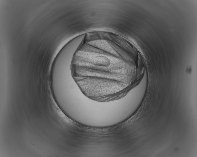 X0000088901140200707061448