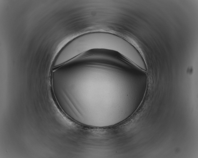 X0000088901141200707061448