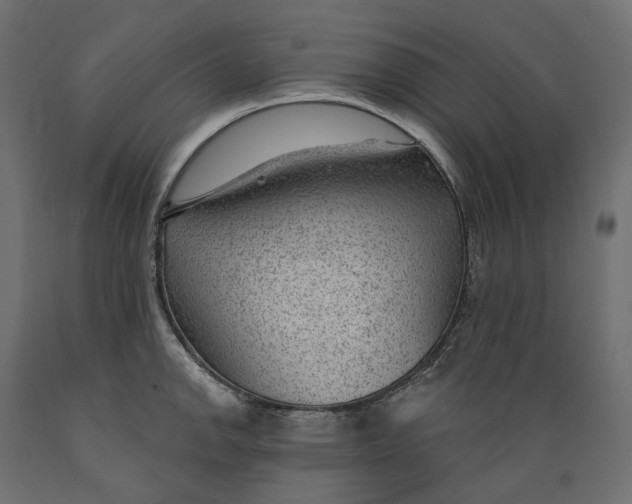 X0000088901142200707061448