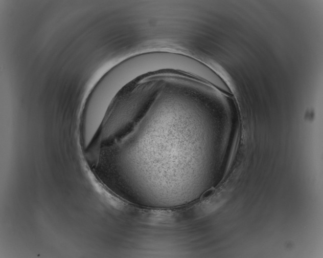 X0000088901144200707061448