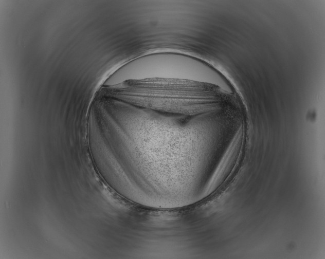 X0000088901145200707061448