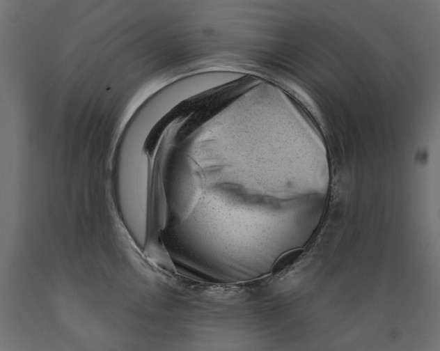 X0000088901146200707061448