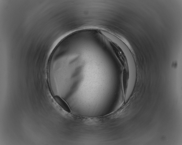 X0000088901148200707061449