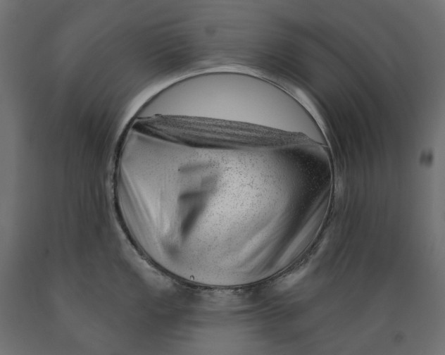 X0000088901149200707061449