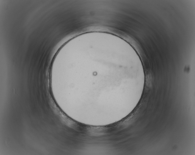 X0000088901150200707061449