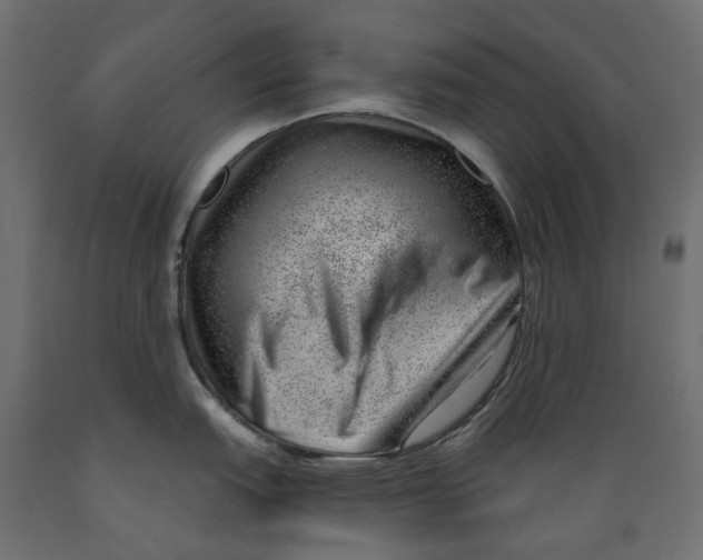 X0000088901151200707061449