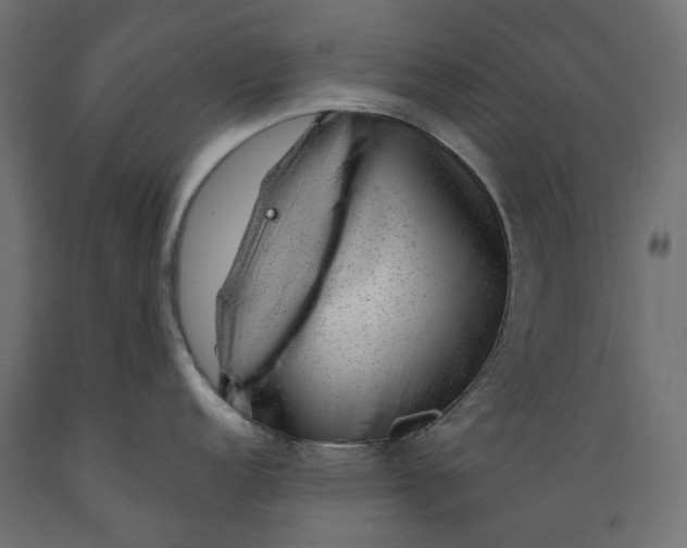 X0000088901152200707061449