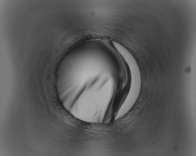 X0000088901153200707061448