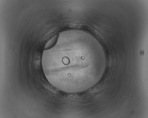 X0000088901154200707061448