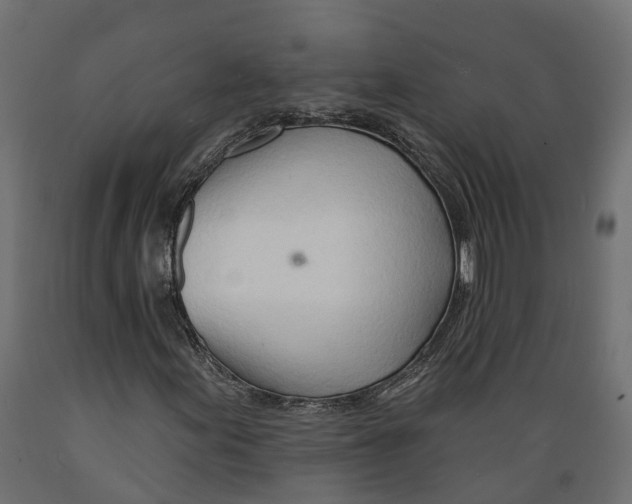 X0000088901155200707061448