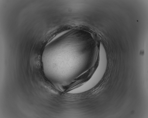 X0000088901156200707061448