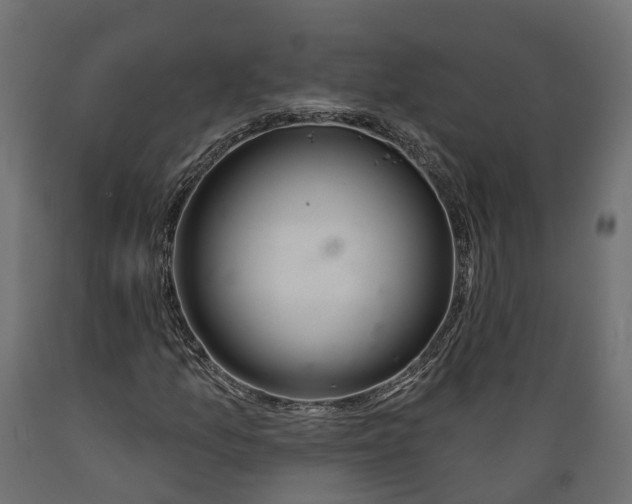 X0000088901157200707061448