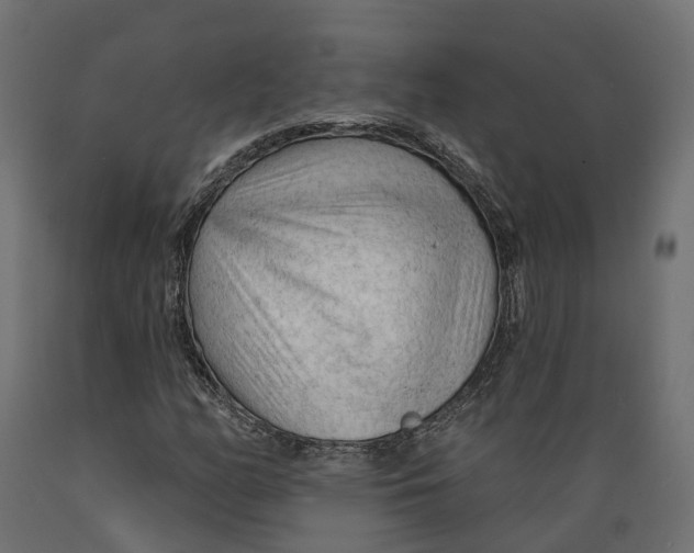 X0000088901158200707061448