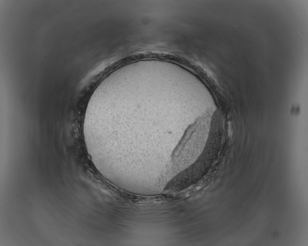 X0000088901159200707061448