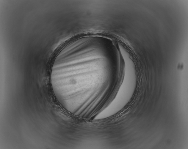 X0000088901160200707061448