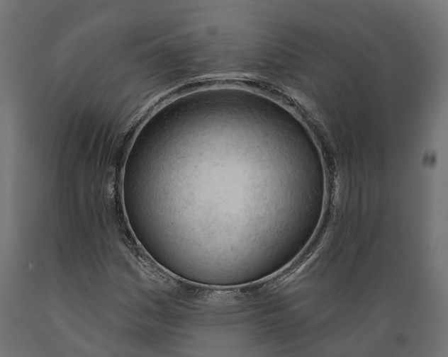 X0000088901161200707061448