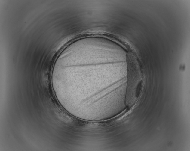 X0000088901162200707061448