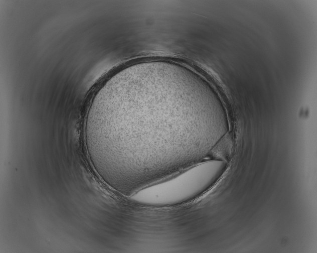 X0000088901163200707061448