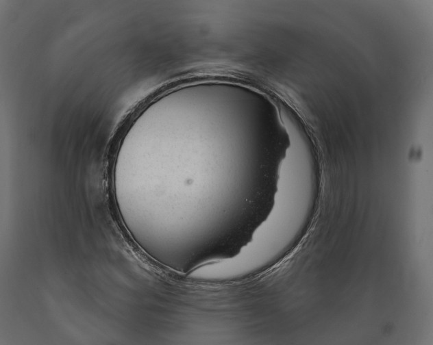 X0000088901164200707061448