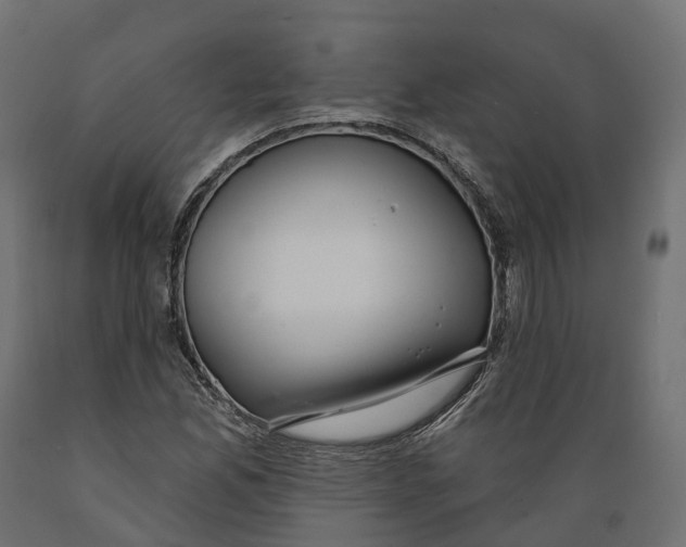 X0000088901165200707061448