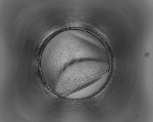 X0000088901166200707061448