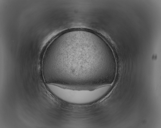 X0000088901167200707061448