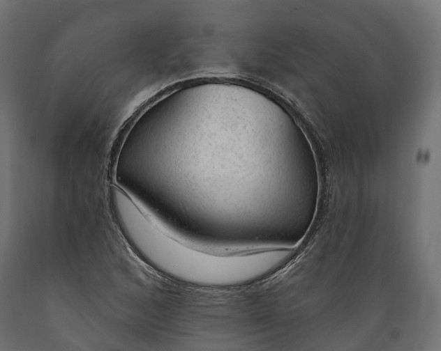 X0000088901168200707061448