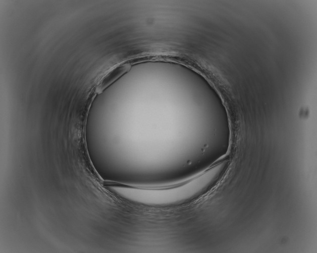 X0000088901169200707061448