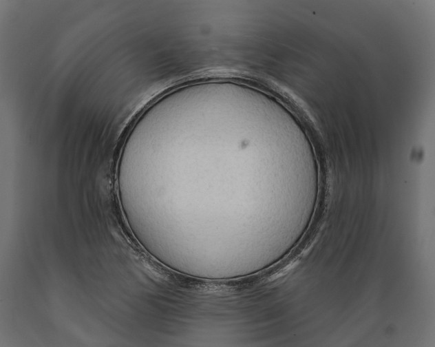 X0000088901170200707061448