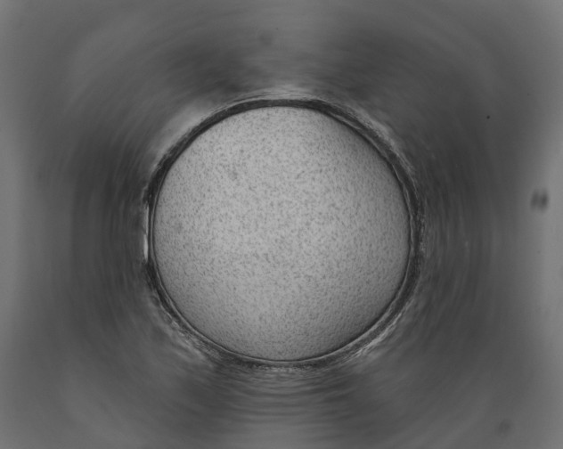 X0000088901171200707061448