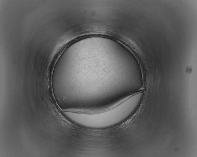 X0000088901172200707061448