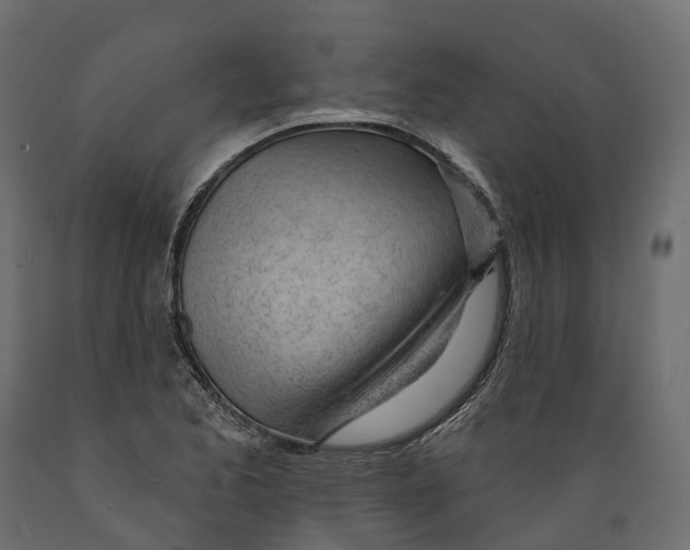 X0000088901173200707061448