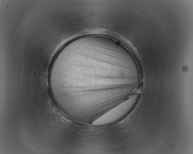 X0000088901174200707061448