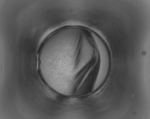 X0000088901175200707061448