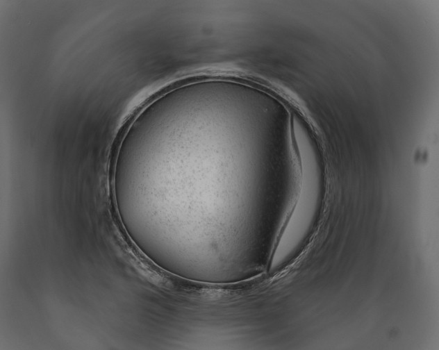 X0000088901176200707061448