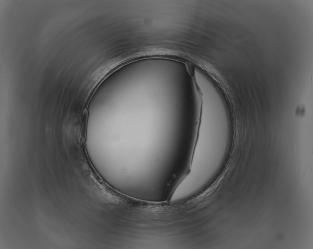 X0000088901177200707061448