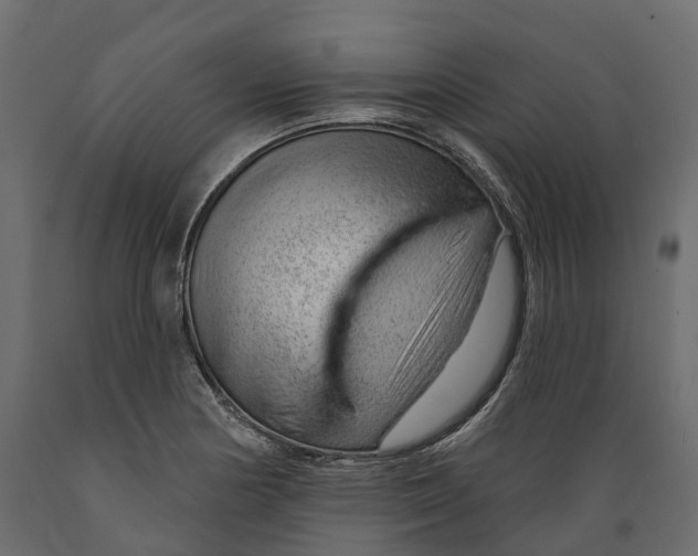 X0000088901178200707061448