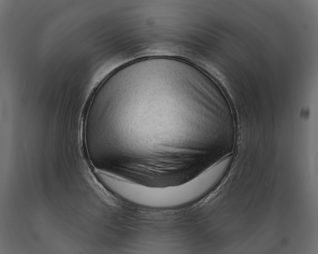 X0000088901179200707061448