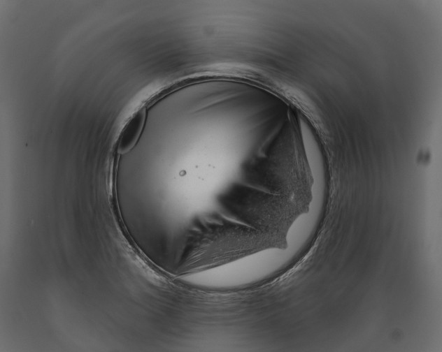 X0000088901180200707061448