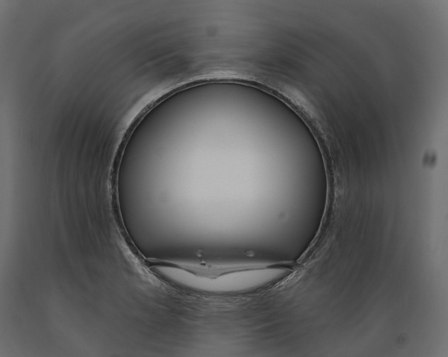 X0000088901181200707061447