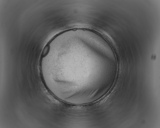 X0000088901182200707061447