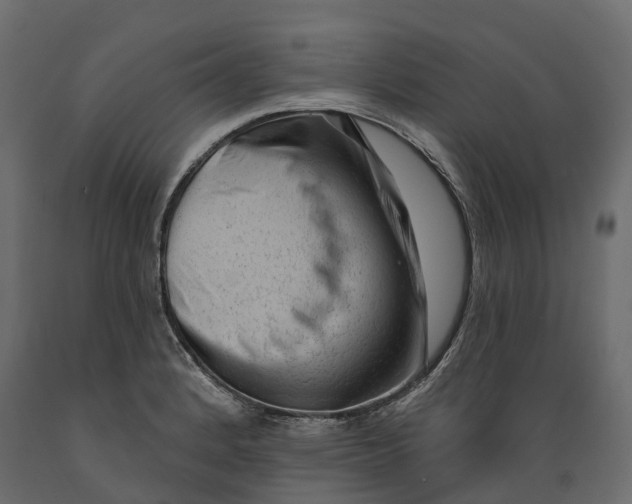 X0000088901184200707061447