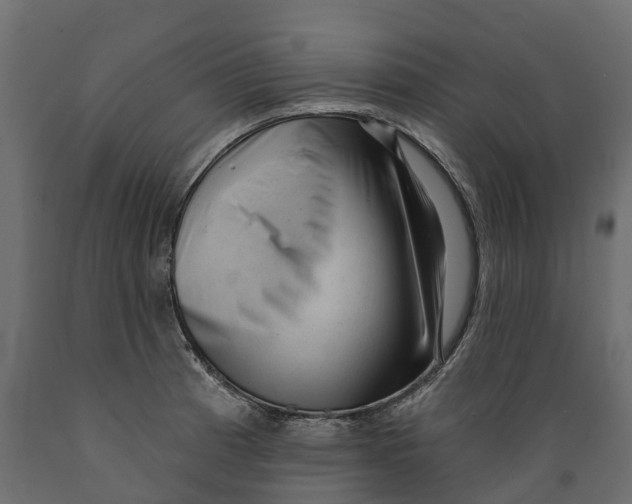 X0000088901185200707061447