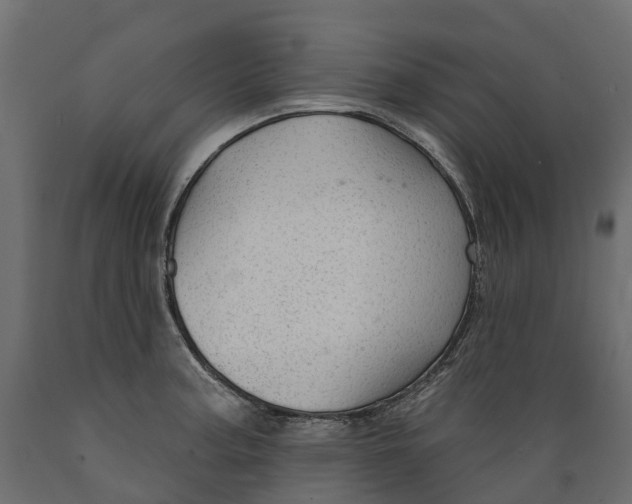 X0000088901187200707061447