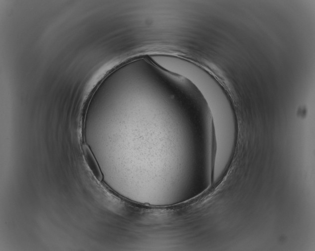 X0000088901188200707061447