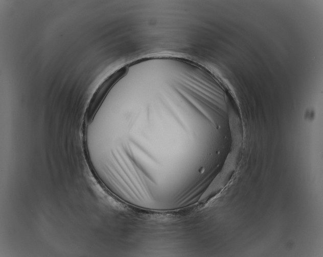 X0000088901189200707061447